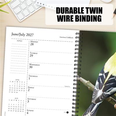 Backyard Birds 2027 6.5" x 8.5" Engagement Calendar