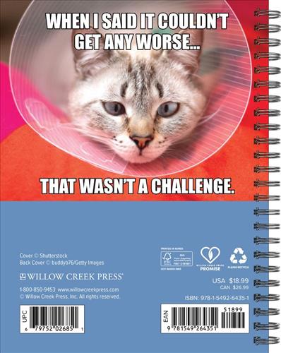 Cat-astrophe 2027 6.5" x 8.5" Engagement Calendar