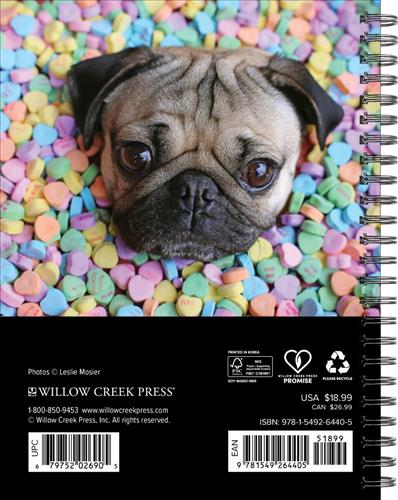 Doug the Pug 2027 6.5" x 8.5" Engagement Calendar