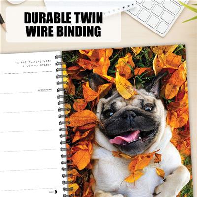 Doug the Pug 2027 6.5" x 8.5" Engagement Calendar