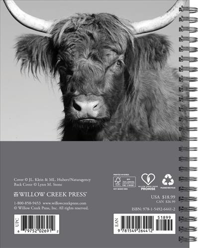 Highland Cows 2027 6.5" x 8.5" Engagement Calendar