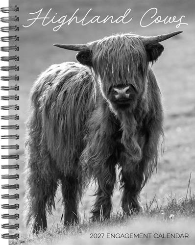 Highland Cows 2027 6.5" x 8.5" Engagement Calendar
