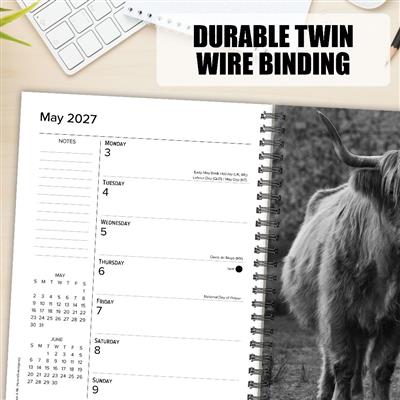 Highland Cows 2027 6.5" x 8.5" Engagement Calendar