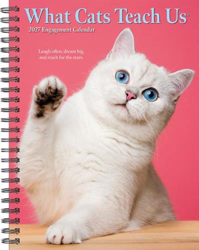 What Cats Teach Us 2027 6.5" x 8.5" Engagement Calendar