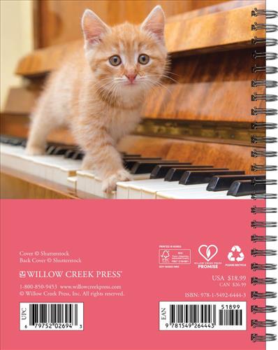 What Cats Teach Us 2027 6.5" x 8.5" Engagement Calendar