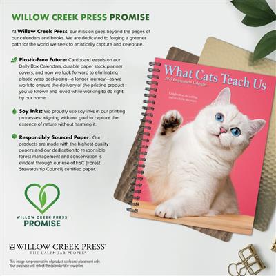 What Cats Teach Us 2027 6.5" x 8.5" Engagement Calendar
