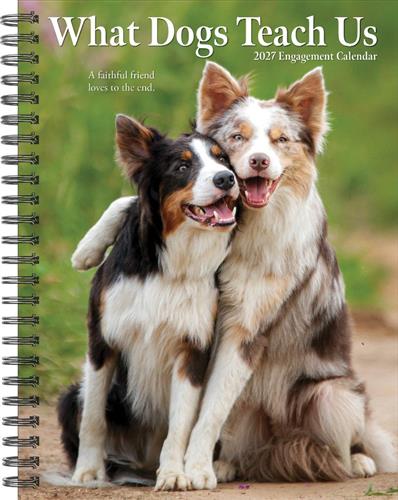 What Dogs Teach Us 2027 6.5" x 8.5" Engagement Calendar