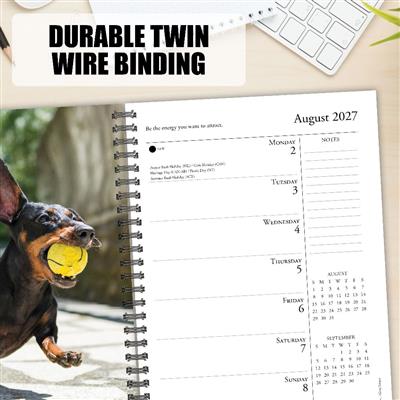 What Dogs Teach Us 2027 6.5" x 8.5" Engagement Calendar