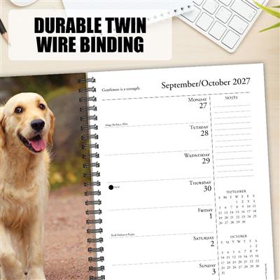 What Goldens Teach Us 2027 6.5" x 8.5" Engagement Calendar