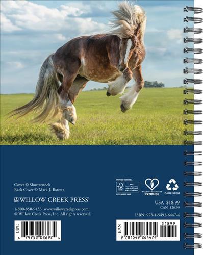 What Horses Teach Us 2027 6.5" x 8.5" Engagement Calendar