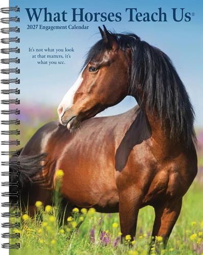 What Horses Teach Us 2027 6.5" x 8.5" Engagement Calendar