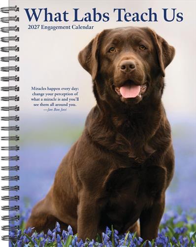 What Labs Teach Us 2027 6.5" x 8.5" Engagement Calendar