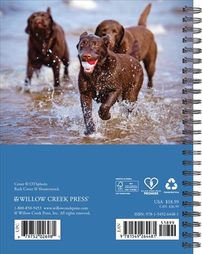 What Labs Teach Us 2027 6.5" x 8.5" Engagement Calendar