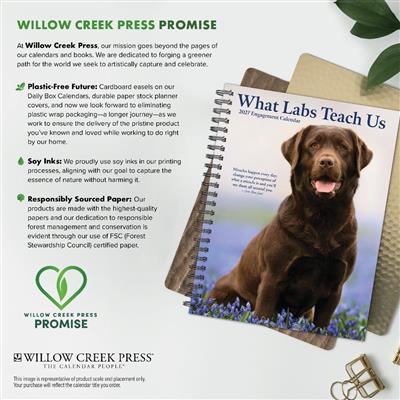 What Labs Teach Us 2027 6.5" x 8.5" Engagement Calendar
