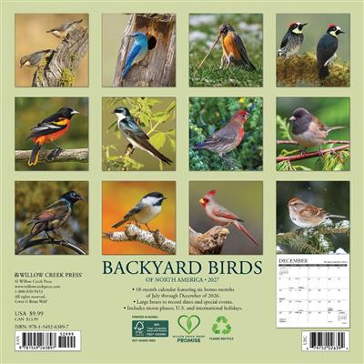 Backyard Birds 2027 7" x 7" Mini Wall Calendar