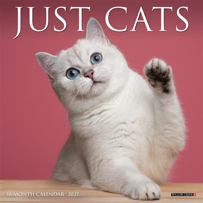 Cats 2027 7" x 7" Mini Wall Calendar