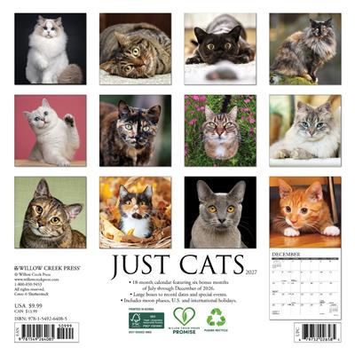 Cats 2027 7" x 7" Mini Wall Calendar