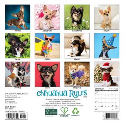 Chihuahua Rules 2027 7" x 7" Mini Wall Calendar