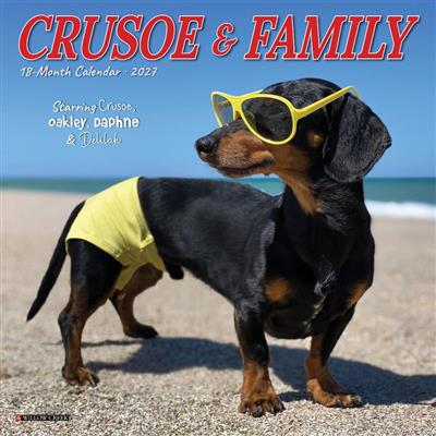 Crusoe the Celebrity Dachshund 2027 7" x 7" Mini Wall Calendar