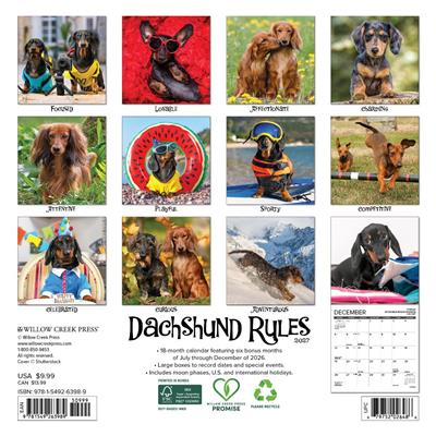 Dachshund Rules 2027 7" x 7" Mini Wall Calendar