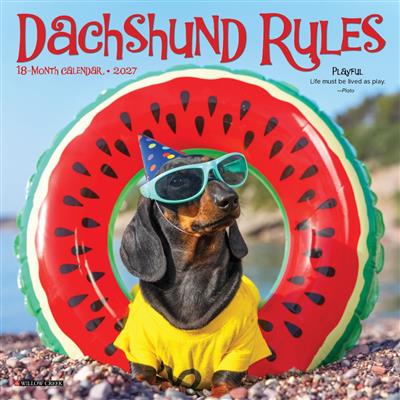 Dachshund Rules 2027 7" x 7" Mini Wall Calendar