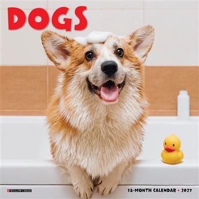 Dogs 2027 7" x 7" Mini Wall Calendar