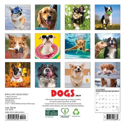 Dogs 2027 7" x 7" Mini Wall Calendar