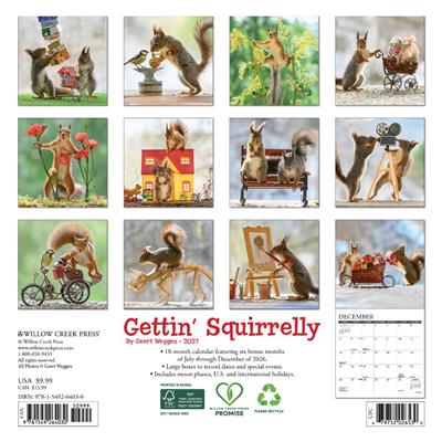 Gettin' Squirrelly 2027 7" x 7" Mini Wall Calendar