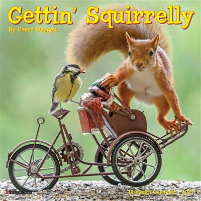 Gettin' Squirrelly 2027 7" x 7" Mini Wall Calendar
