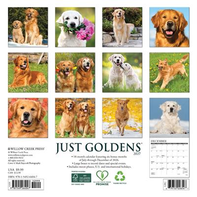 Just Goldens 2027 7" x 7" Mini Wall Calendar