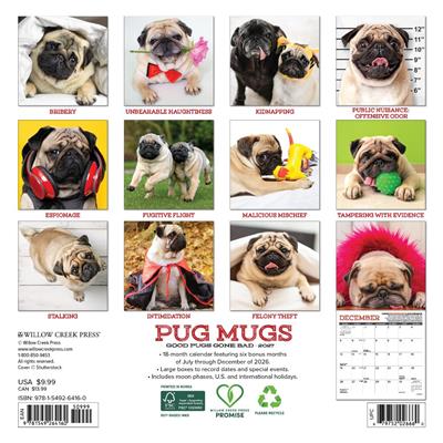 Pug Mugs 2027 7" x 7" Mini Wall Calendar