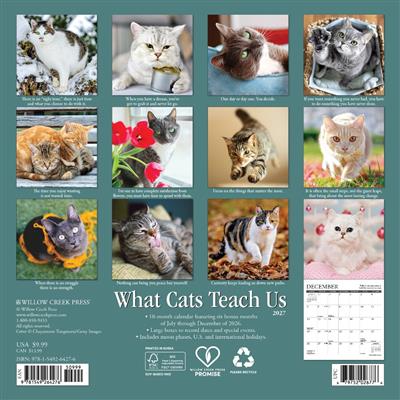 What Cats Teach Us 2027 7" x 7" Mini Wall Calendar