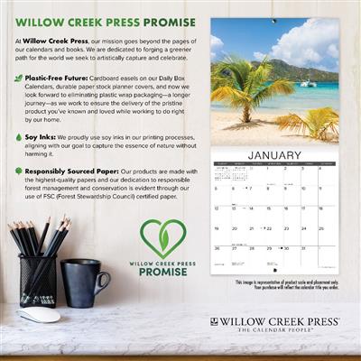 What Cats Teach Us 2027 7" x 7" Mini Wall Calendar