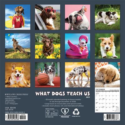 What Dogs Teach Us 2027 7" x 7" Mini Wall Calendar