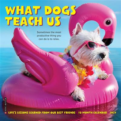 What Dogs Teach Us 2027 7" x 7" Mini Wall Calendar