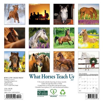 What Horses Teach Us 2027 7" x 7" Mini Wall Calendar