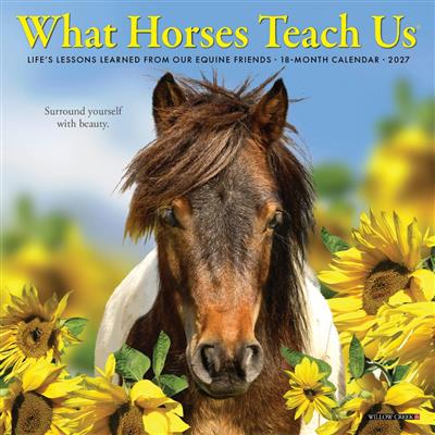 What Horses Teach Us 2027 7" x 7" Mini Wall Calendar