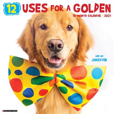 12 Uses for a Golden 2027 12" x 12" Wall Calendar