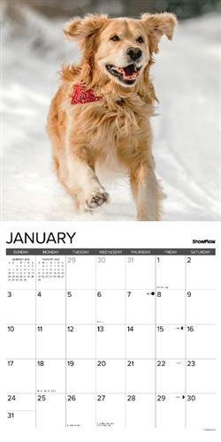 12 Uses for a Golden 2027 12" x 12" Wall Calendar