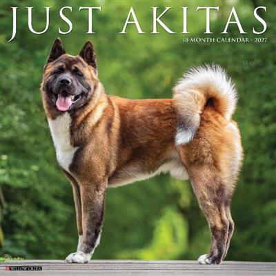 Akitas 2027 12" x 12" Wall Calendar
