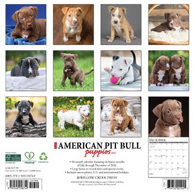 American Pit Bull Terrier Puppies 2027 12" x 12" Wall Calendar
