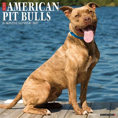 American Pit Bull Terriers 2027 12" x 12" Wall Calendar
