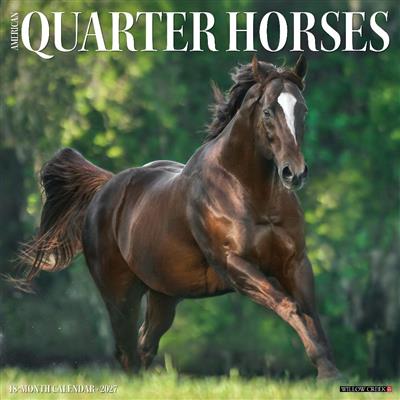 American Quarter Horses 2027 12" x 12" Wall Calendar
