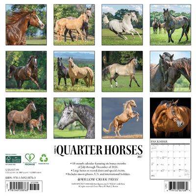 American Quarter Horses 2027 12" x 12" Wall Calendar
