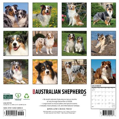 Australian Shepherds 2027 12" x 12" Wall Calendar