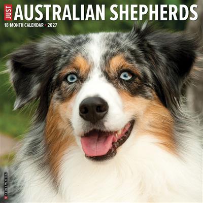 Australian Shepherds 2027 12" x 12" Wall Calendar