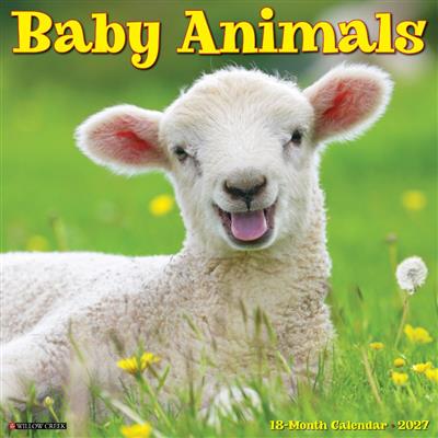 Baby Animals 2027 12" x 12" Wall Calendar