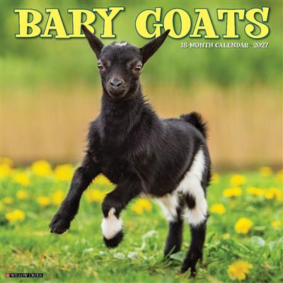 Baby Goats 2027 12" x 12" Wall Calendar