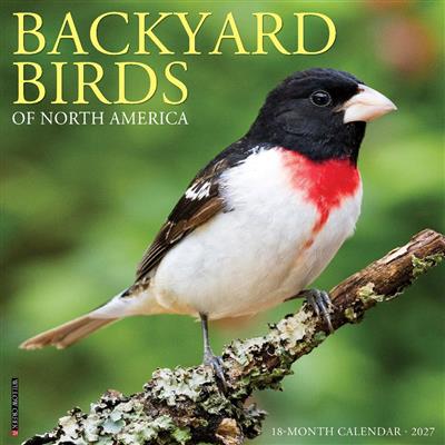 Backyard Birds 2027 12" x 12" Wall Calendar