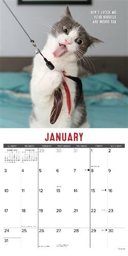 Bad Kitties 2027 12" x 12" Wall Calendar